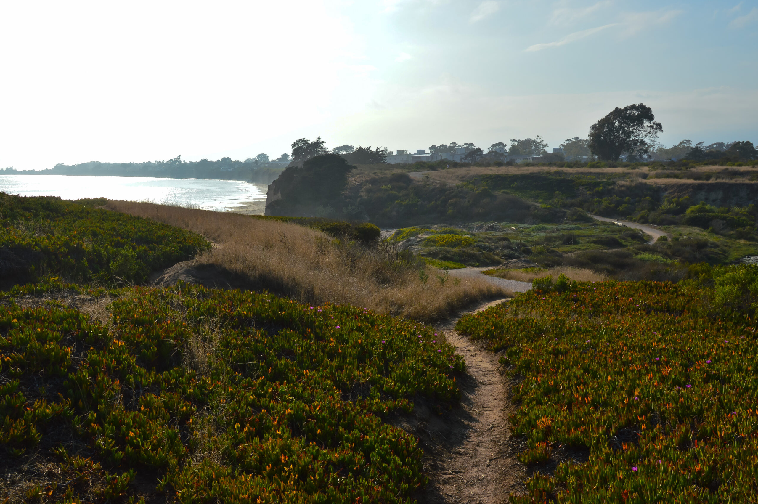 Carpinteria Managed IT Services